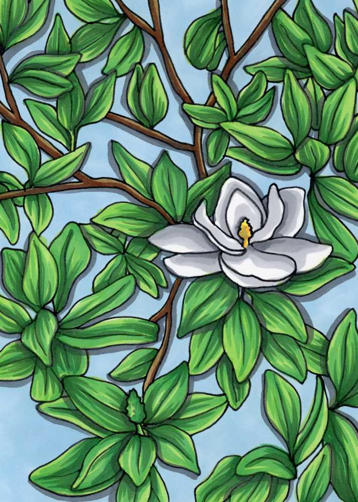 022821_15_MK_1200_Magnolia3